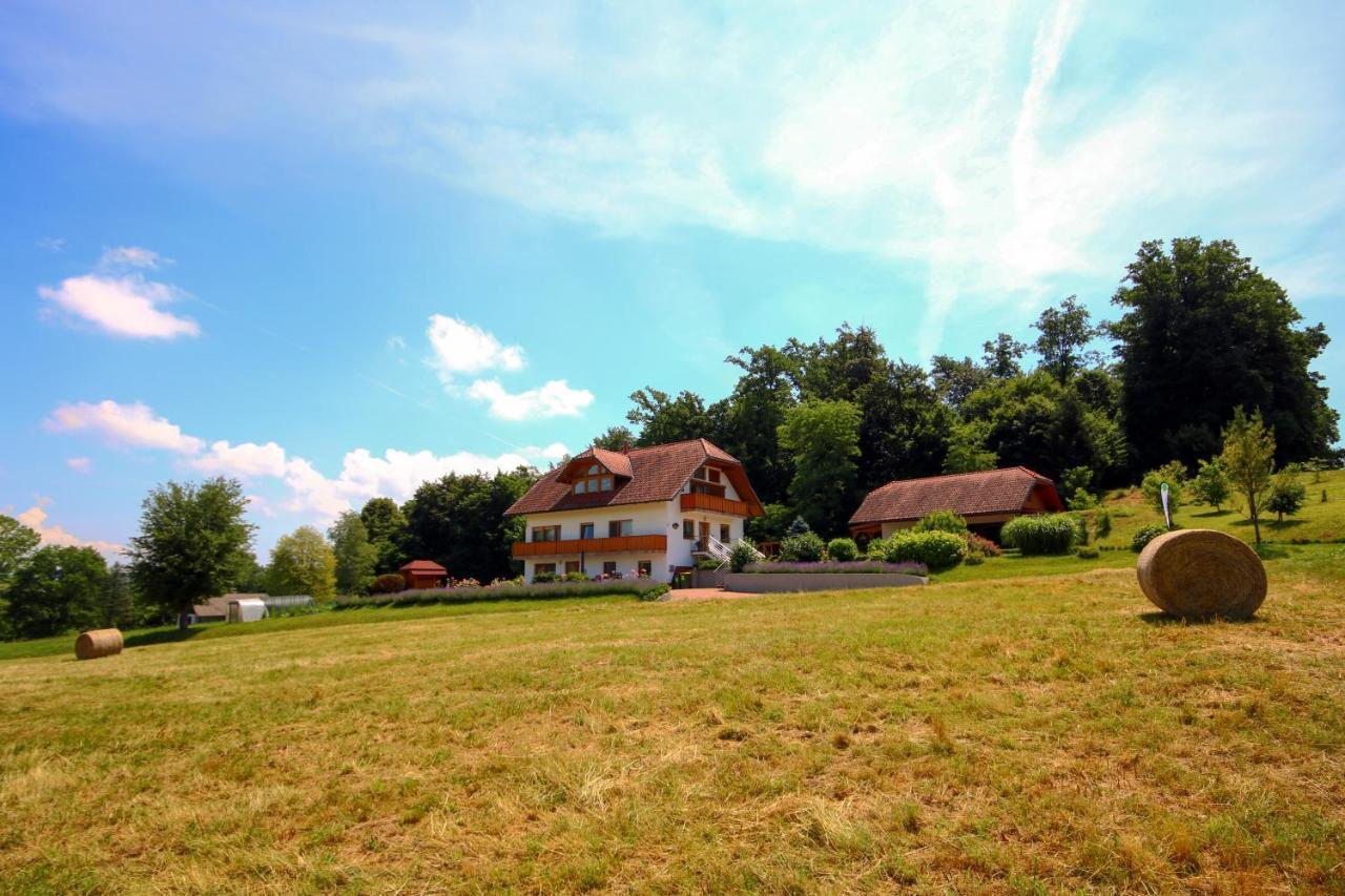 Villa Katarina Mokronog Kültér fotó