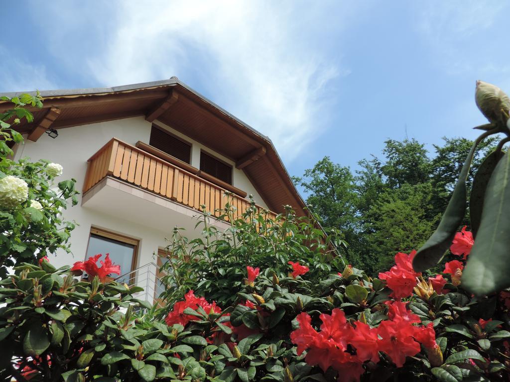 Villa Katarina Mokronog Kültér fotó