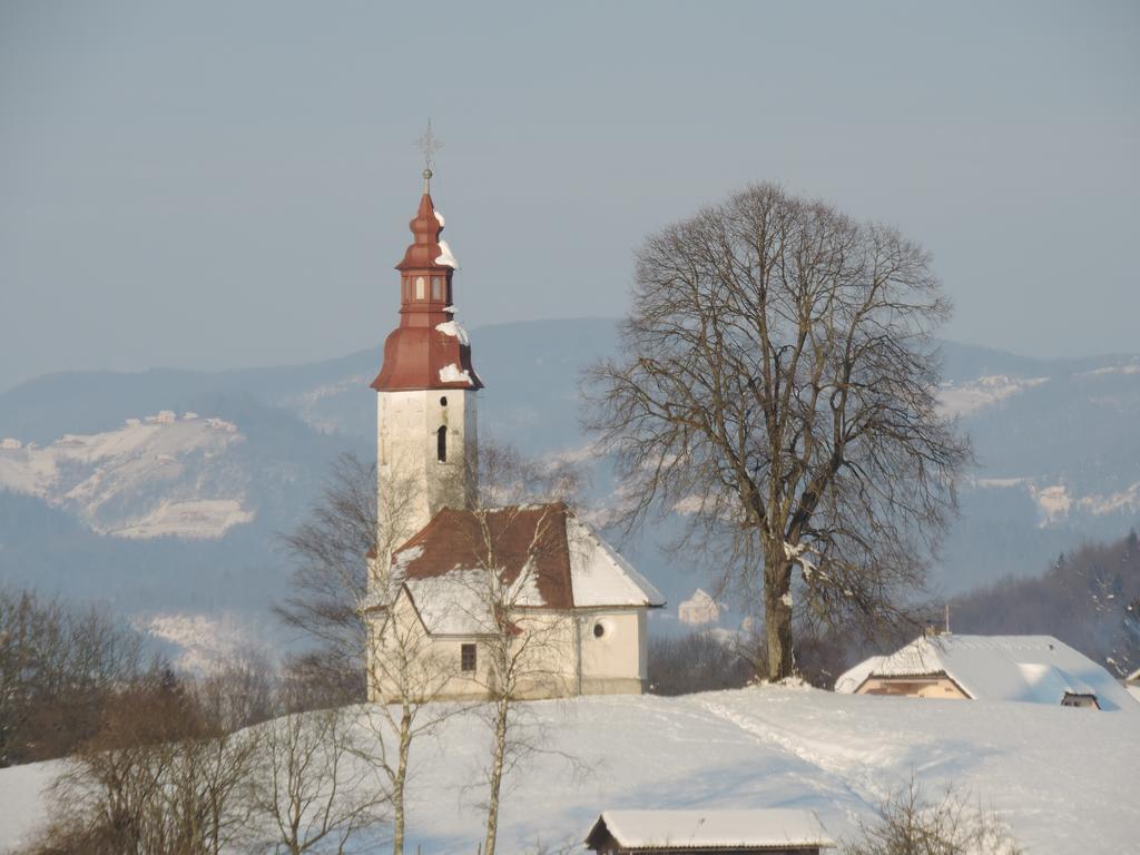 Villa Katarina Mokronog Kültér fotó