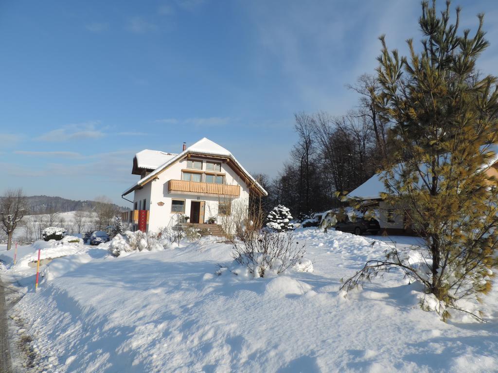 Villa Katarina Mokronog Kültér fotó