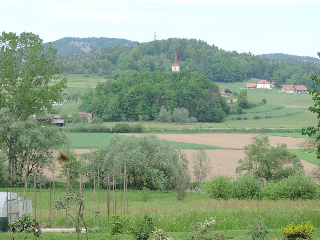 Villa Katarina Mokronog Kültér fotó